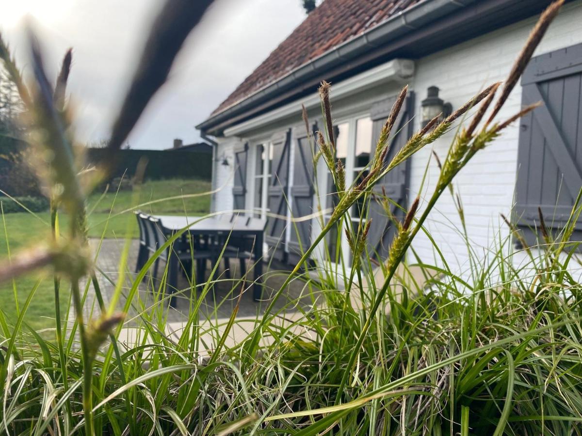 Villa 'T Zeehuysje De Panne Eksteriør bilde