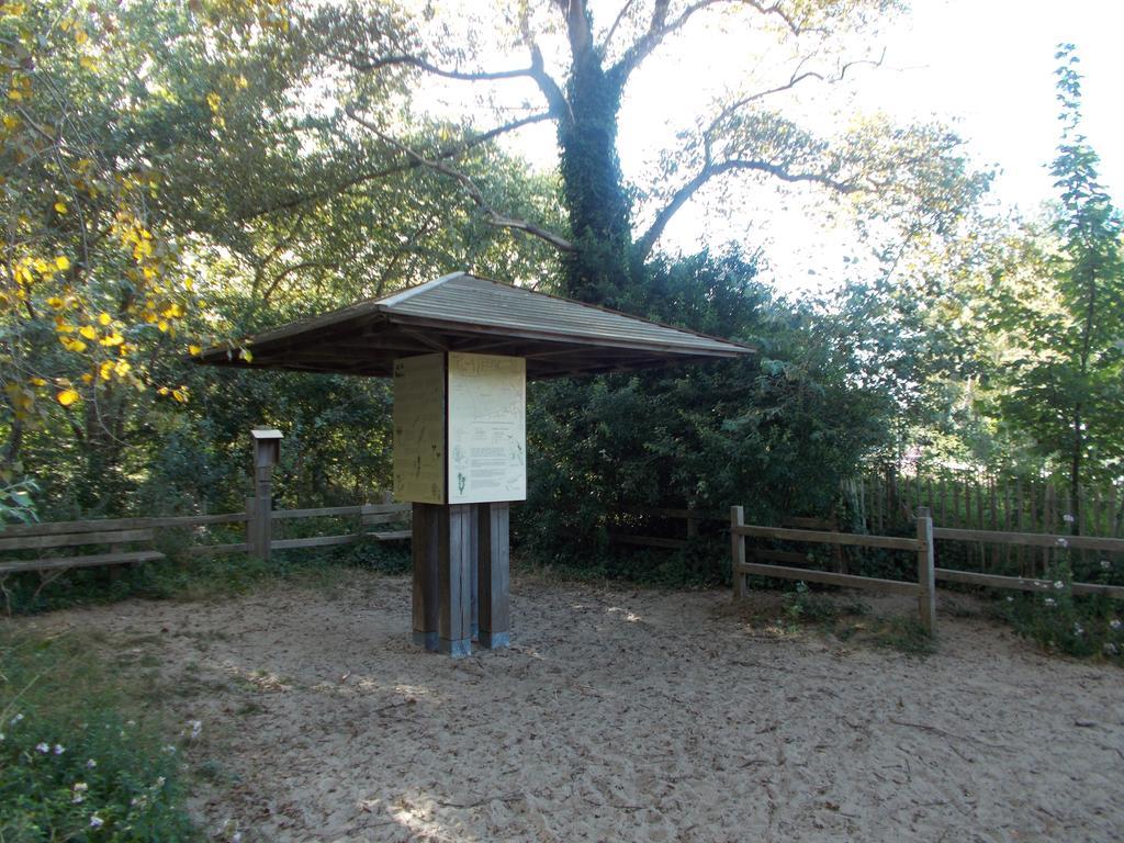 Villa 'T Zeehuysje De Panne Rom bilde