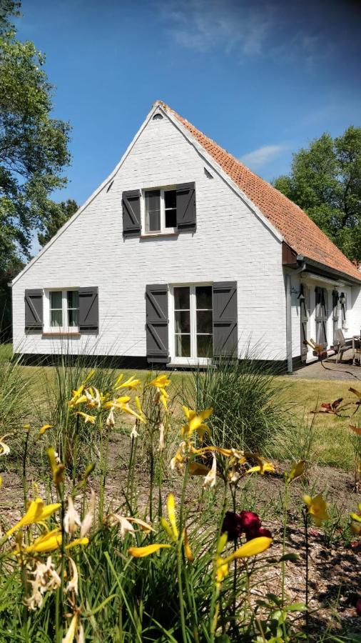 Villa 'T Zeehuysje De Panne Eksteriør bilde